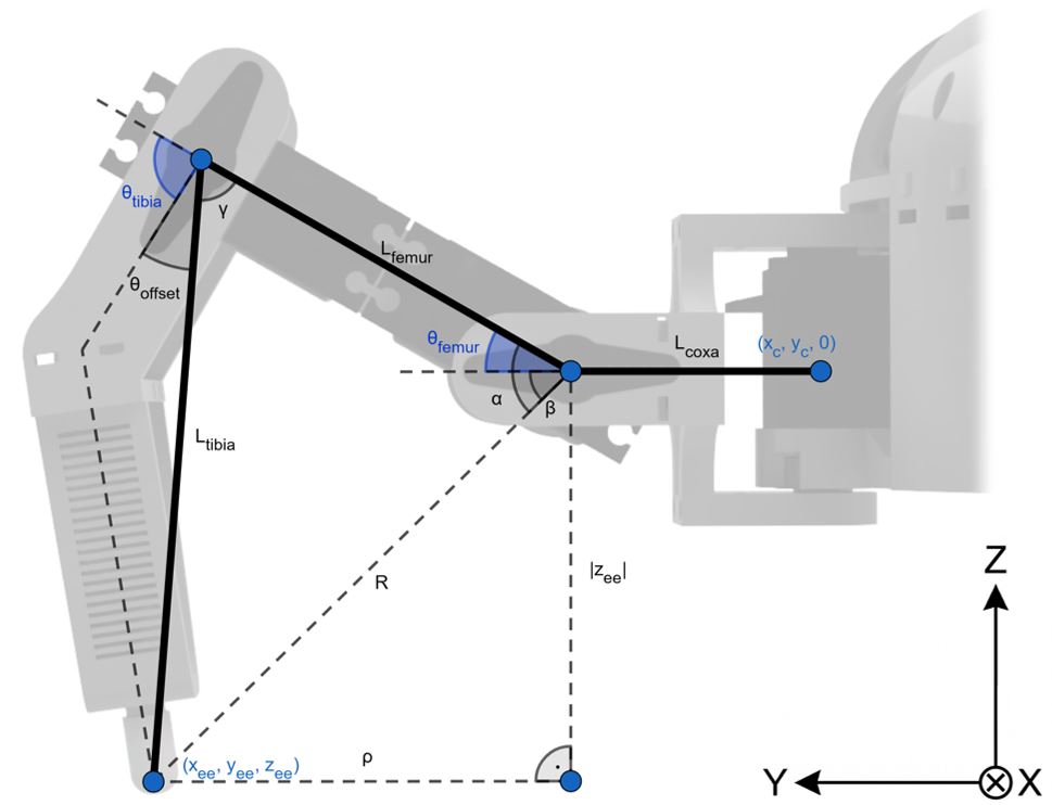 Návod na 2D inverzní kinematiku nohy hexapoda zboku
